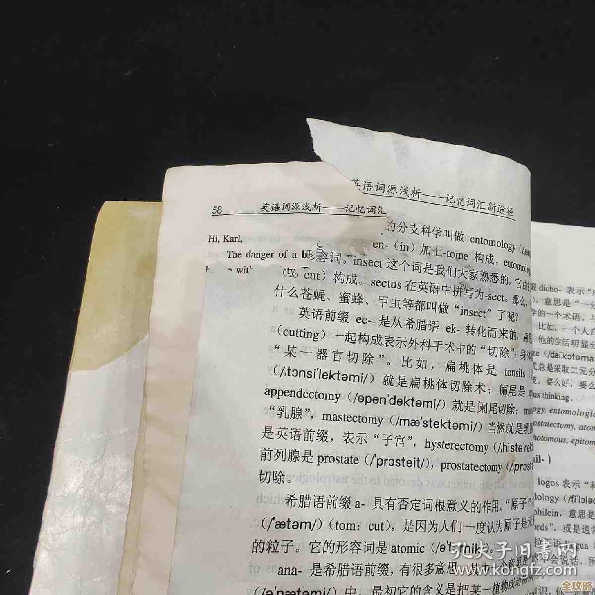 词语背景探秘:追溯词汇的起源与历史变迁之路 词语背景探秘:追溯词汇的起源与历史变迁之路