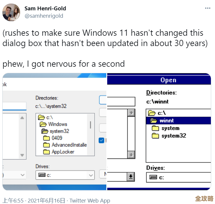 Windows 11兼容性挑战：常见软件冲突问题解析