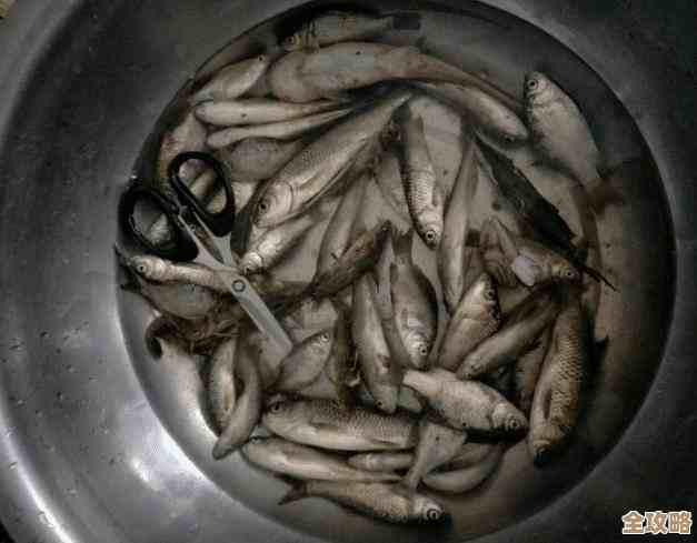 小鱼教您轻松进入路由器设置界面,详细步骤一网打尽 小鱼教您轻松进入路由器设置界面,详细步骤一网打尽