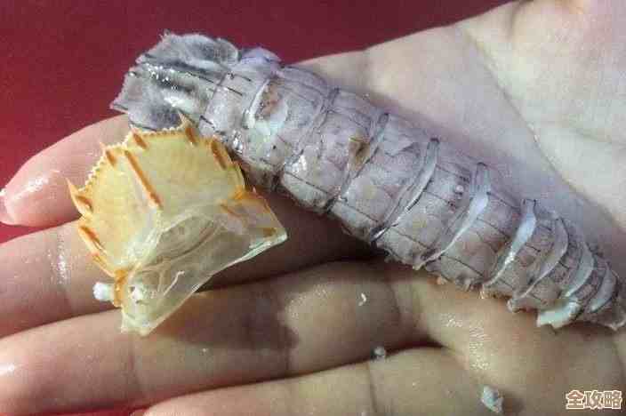 剥皮皮虾的详细步骤与技巧分享