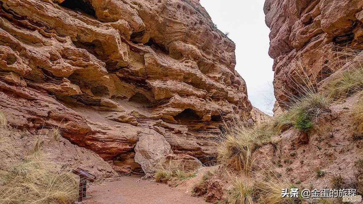 老内存天梯图：穿越时光的数据迷宫与硬件进化之旅