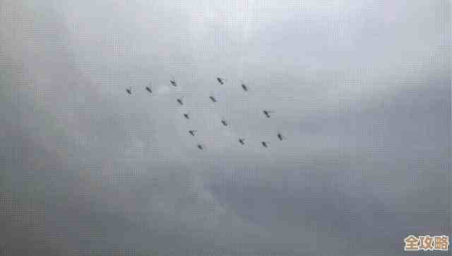 品牌电脑狂欢促销，超值优惠与专业服务助力您的数字生活升级！