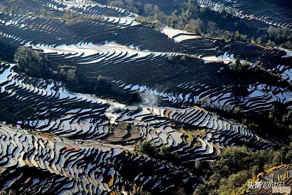 徜徉摄影世界，小米天梯图助你捕捉生活中的动人光影