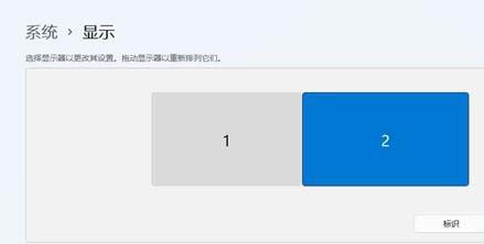 如何彻底解决Win11浏览器黑屏和闪屏故障的实用指南