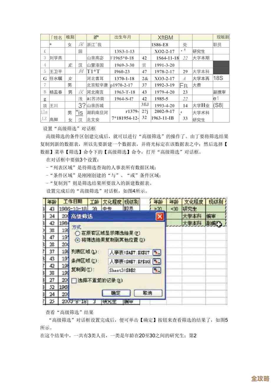 Excel数据筛选全攻略：高效掌握核心技巧提升办公效率