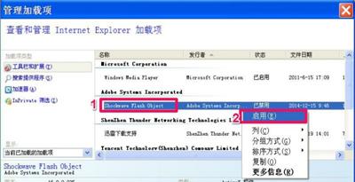 Windows 11系统启用Flash功能详细操作指南