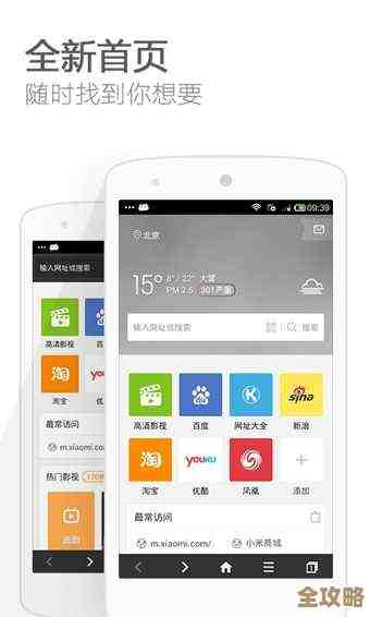 掌握猎豹浏览器高效使用方法，优化上网速度并增强安全防护