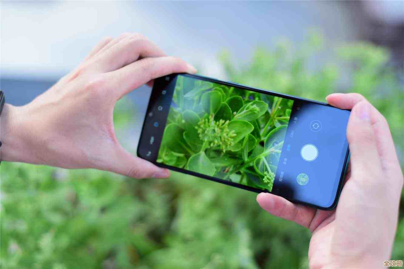 WiFi连接问题频发？探究手机无法联网的关键因素