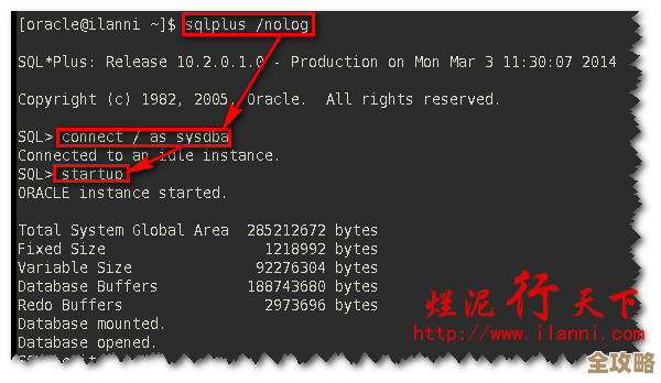 ORA-07406错误导致slbtpd异常，Oracle报错远程排查修复思路分享