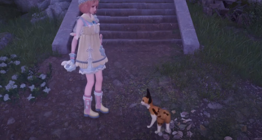 无限暖暖礅礅毛团捕捉攻略，避开这些雷点.实战心得