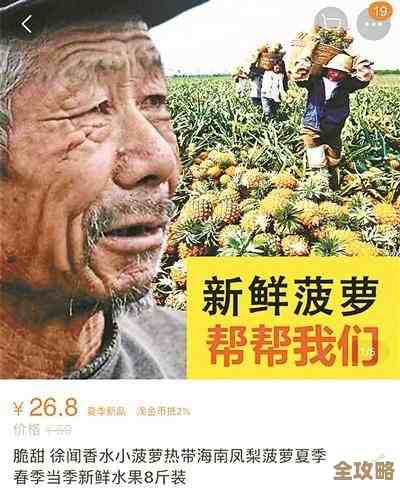 网页怎么和数据库搭上线，教你一步步搞定简单操作，不用太复杂也能用起来