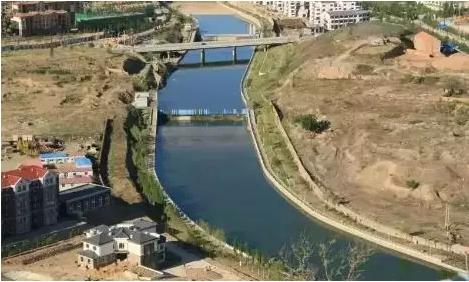 我的起源水系宠物水面能提多快游泳速度，咋弄才有明显提升