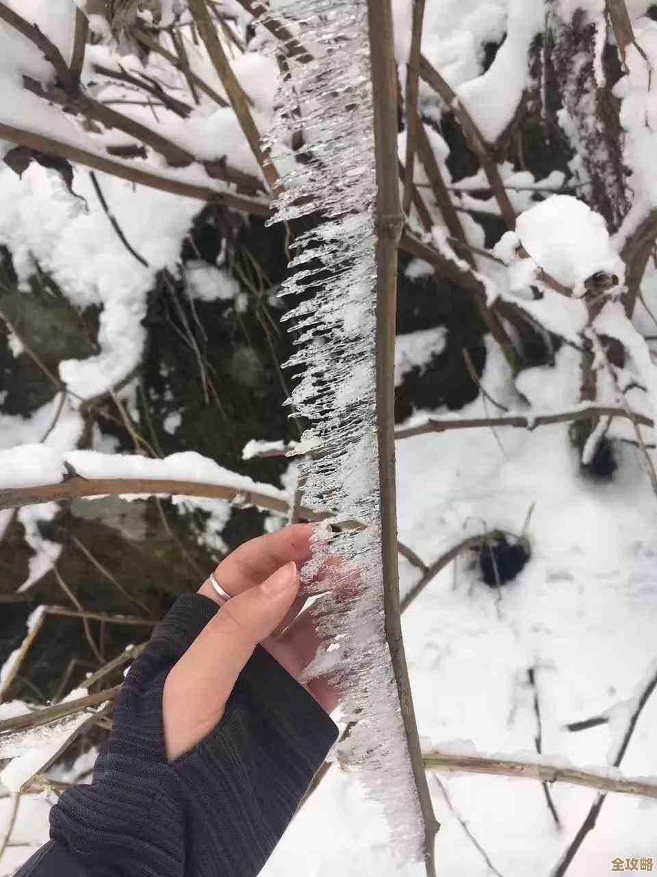 无限暖暖里那件冰河之痕属性咋样，顺带说下优缺点…