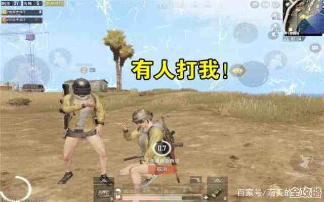 《向僵尸开炮》战场争霸阵容搭配,菜鸟摸索的乱七八糟笔记 《向僵尸开炮》战场争霸阵容搭配,菜鸟摸索的乱七八糟笔记