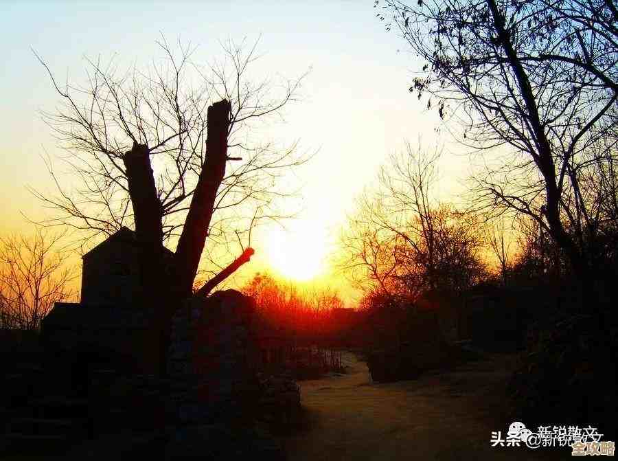 树叶云AI教程里讲的那个卷积神经网络，感觉挺复杂但又很实用的人工智能技术分享