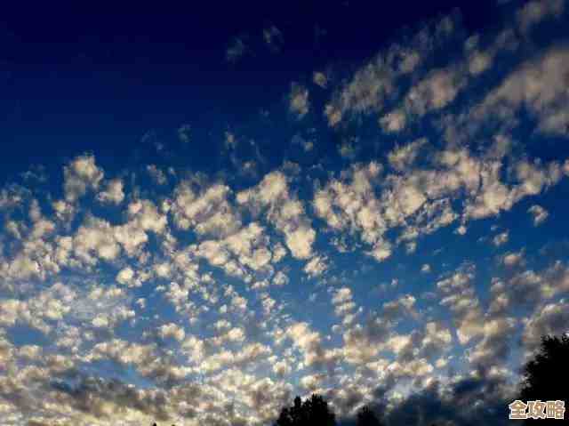 说说树叶云到底是啥，还有那些用起来必须知道的关键点