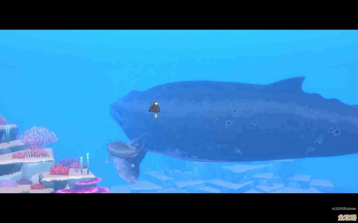 潜水员戴夫教你抓甘氏巨螯蟹，实用技巧和别踩雷