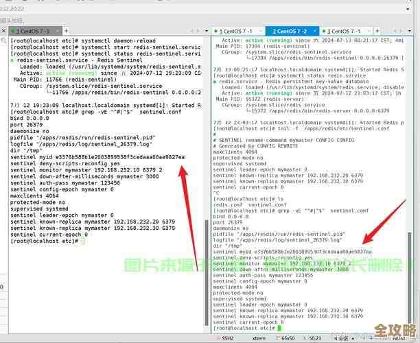 Redis虚拟地址到底是啥，怎么查看才靠谱，有点迷惑想搞清楚