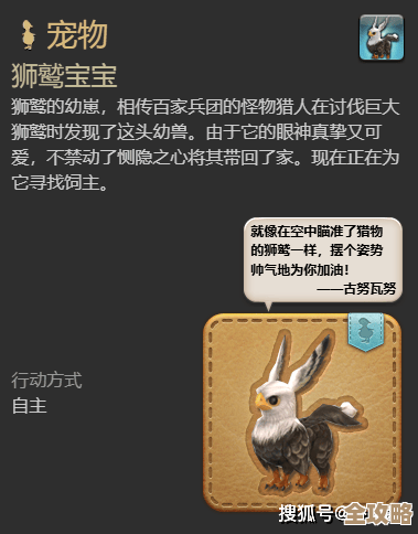 最终幻想14：水晶世界里那只猫头小鹰宠物怎么弄到手，步骤别慌