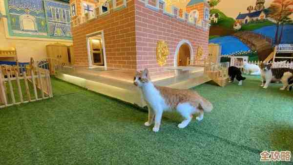 心动小镇的小猫怎样领养啊，步骤和小窍门都在这儿吧