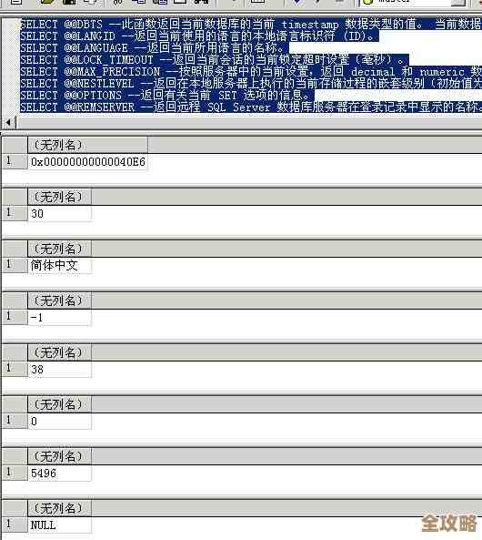 MSSQL里那些标量函数到底是怎么用的，简单聊聊它们的作用和特点