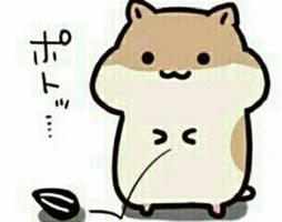 超火的恋爱小游戏排行榜，免费又好玩，前五别错过