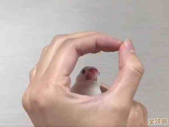 最近刷得多的转圈圈游戏，人气高到你想不到的几款