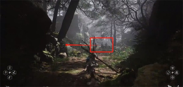 森林之子独滑翔翼在哪里，先说个大概位置和推荐理由吧