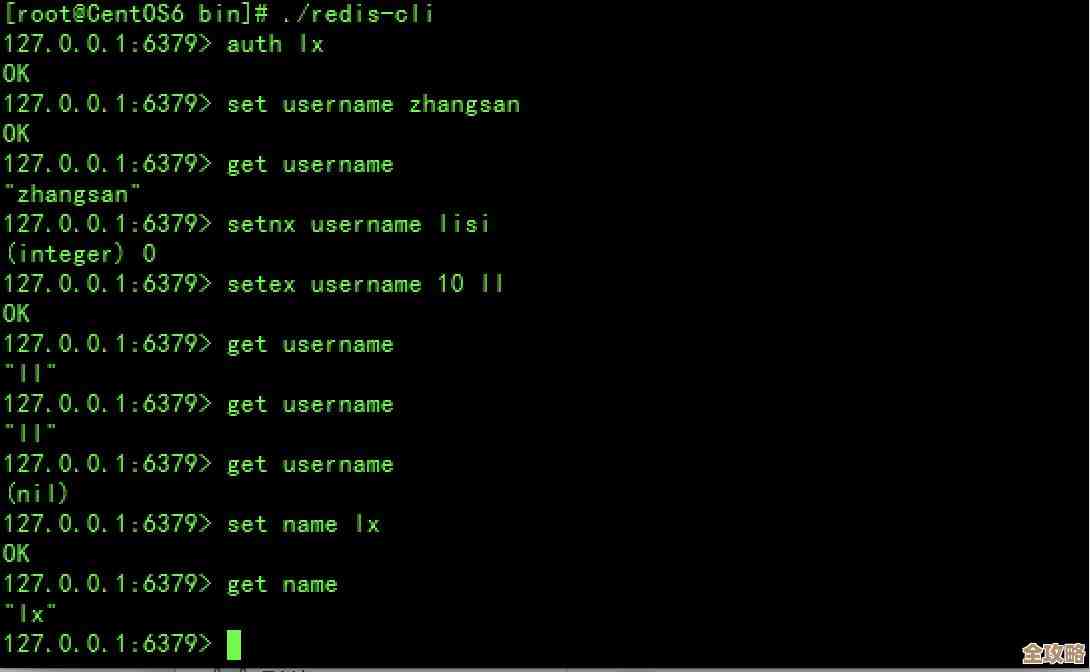 基于Redis框架来做数据库应用开发，怎么用redis框架搞数据处理和存储