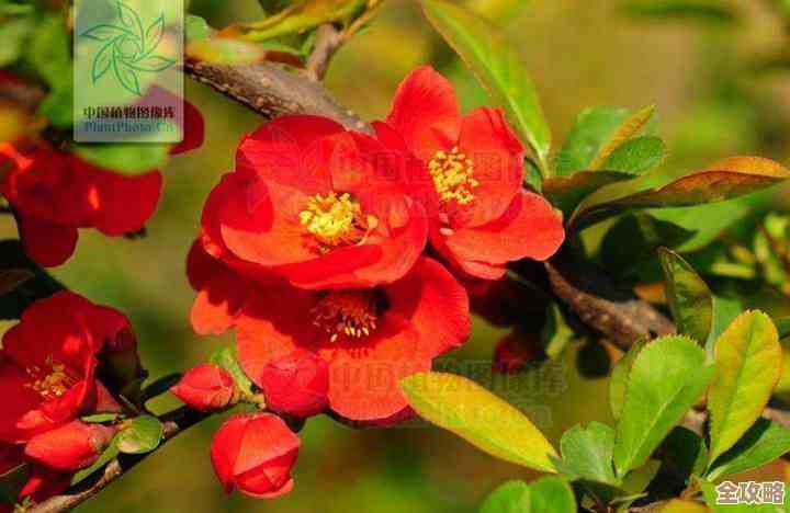 海棠小说最新直达入口在这儿,想看就别犹豫,随手点开 海棠小说最新直达入口在这儿,想看就别犹豫,随手点开