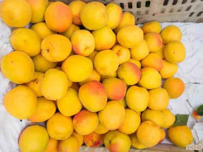 保卫向日葵里的西瓜巨人植物图鉴，长相打法就这儿翻一翻.