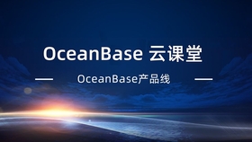 树叶云OceanBase教程里那些参数到底是啥意思，详细说明来了