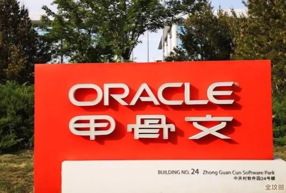 O记云基础设施突然发力，甲骨文终于开始认真搞事情了