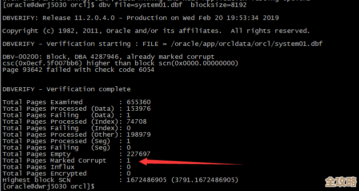 数据库坏块出现了咋整，Oracle里那些处理方法实例分享