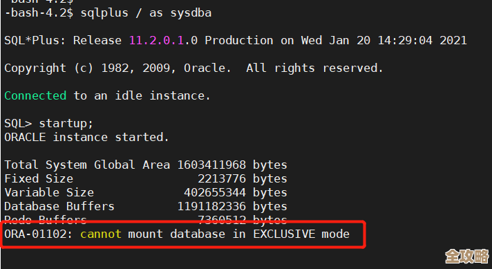 ORA-13451 GeoRaster元数据缩放函数出错，Oracle报错修复及远程支持方案分享
