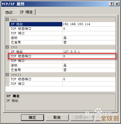怎么在SQL Server里把报表给提交了，步骤和注意点讲讲