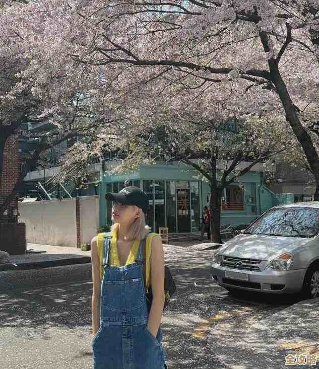 再刷一把2：金色传说最终19格宠物宝宝搭配攻略，乱七八糟但好用