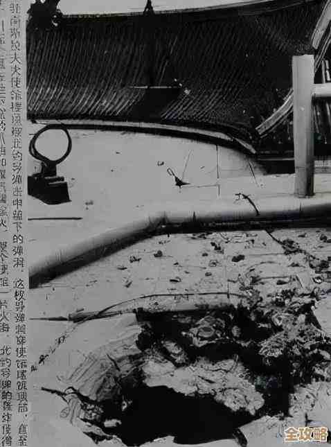 联合国贸易发展数据库帮大家共享信息，推动贸易更绿色更持续