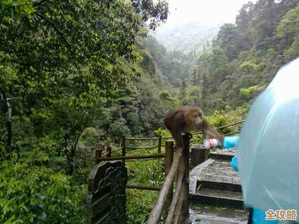 四川文旅数字化又出新招，乐山大佛这回真要上云端了