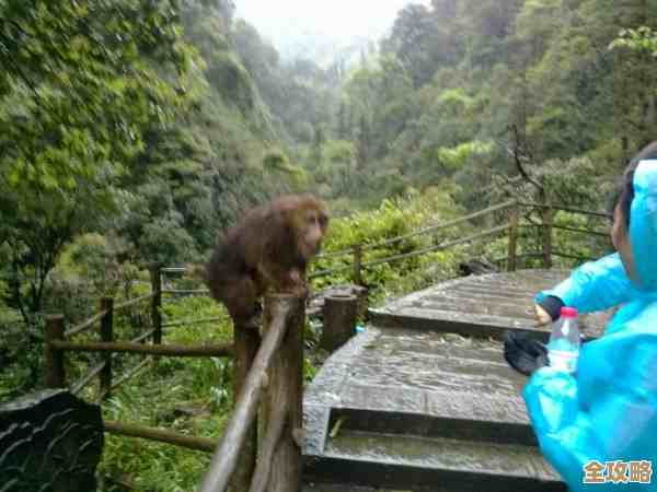 四川文旅数字化又出新招，乐山大佛这回真要上云端了