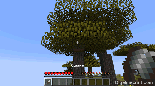 树叶云Minecraft Wiki教程教你怎么一步步开始做那个东西,虽然有点复杂但挺有趣的 树叶云Minecraft Wiki教程教你怎么一步步开始做那个东西,虽然有点复杂但挺有趣的