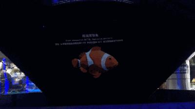 开心水族箱怎么快速升级，先试试这些省时的小招儿吧，简单易上手