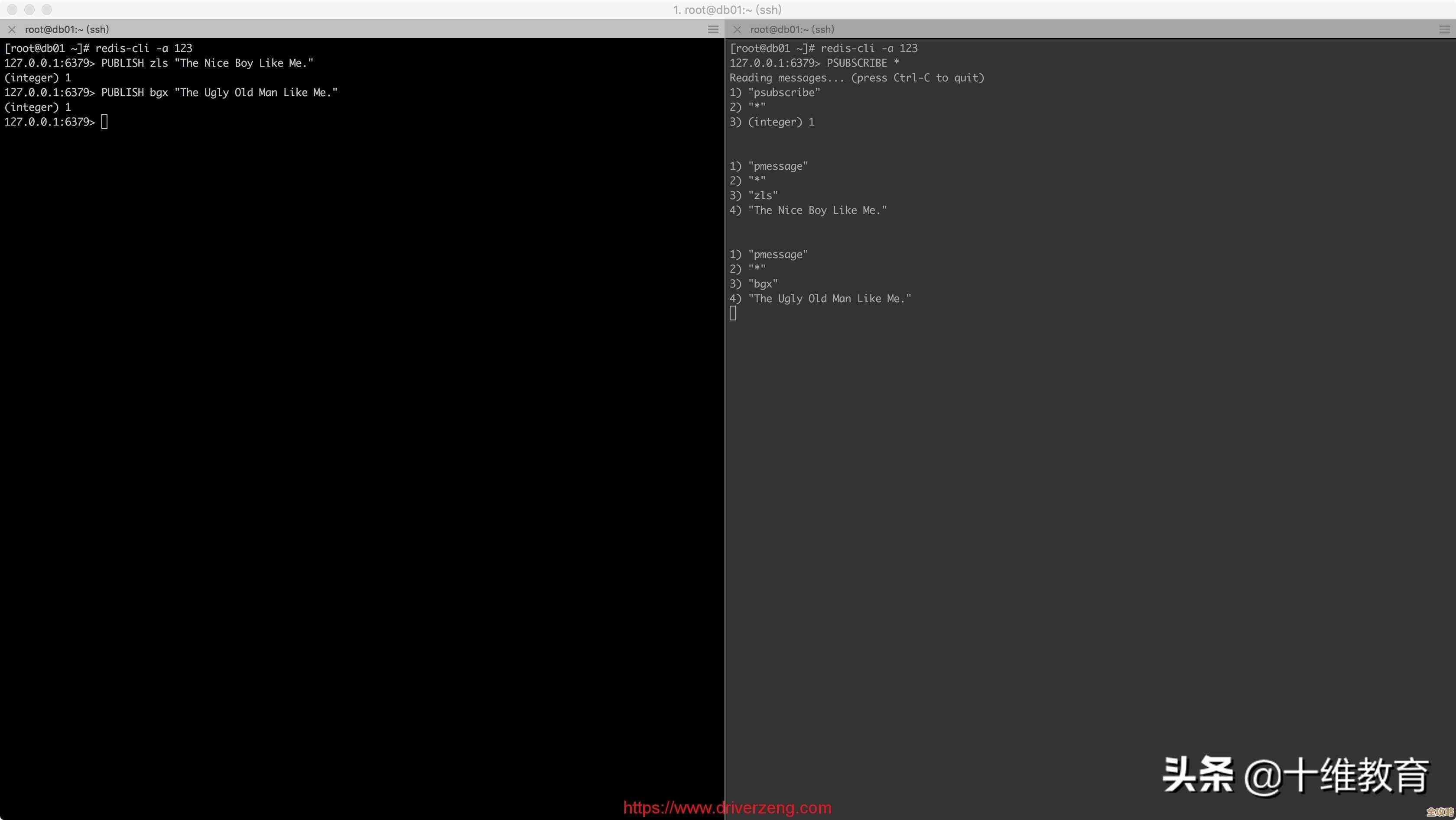 Redis消息队列性能怎么提升，聊聊那些优化的小技巧和坑