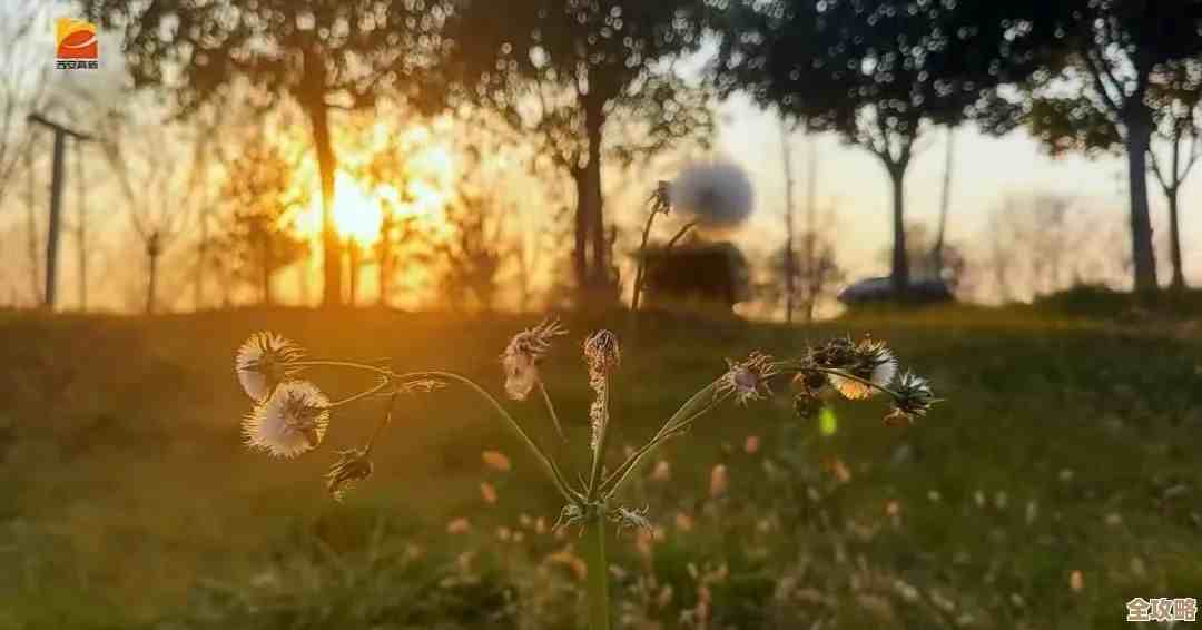 在无限暖暖里学会捕捉一缕阳光的做法，步骤说简单其实还要点耐心