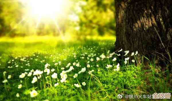 在无限暖暖里学会捕捉一缕阳光的做法,步骤说简单其实还要点耐心 在无限暖暖里学会捕捉一缕阳光的做法,步骤说简单其实还要点耐心