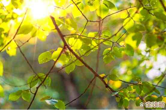 在无限暖暖里学会捕捉一缕阳光的做法,步骤说简单其实还要点耐心 在无限暖暖里学会捕捉一缕阳光的做法,步骤说简单其实还要点耐心