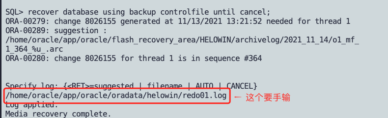 ORA-07745错误咋整，slemcl关闭失败导致Oracle报错远程帮忙修复方案