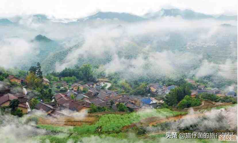 感觉现在企业都慢慢往云上靠，未来可能真离不开云端了