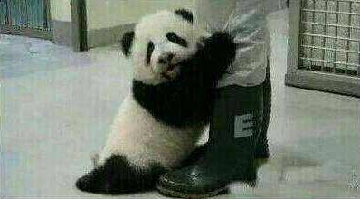 小兵别嚣张怎么删除存档，手把手教你找文件夹和备份没那么难