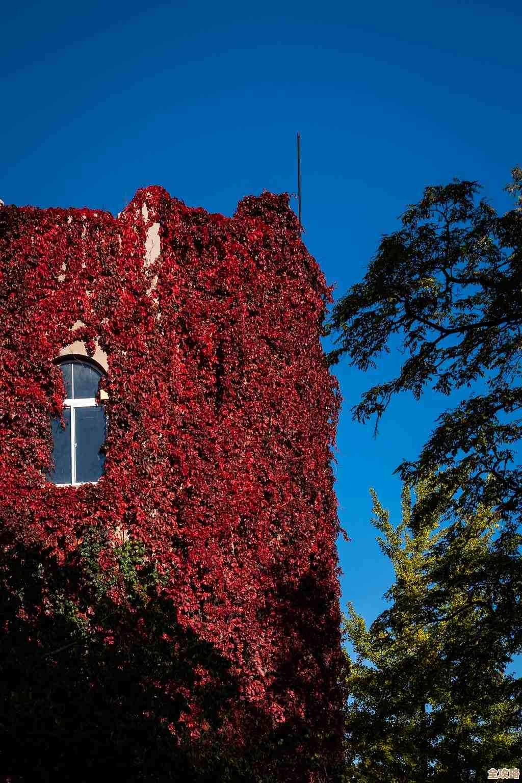 小朋友值得玩的游戏分享，随手记下不完全清单